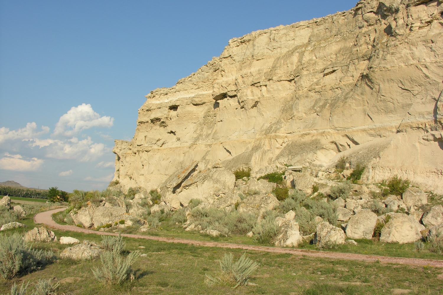 The chalk face of Register Cliff carved with the names of emigrants.